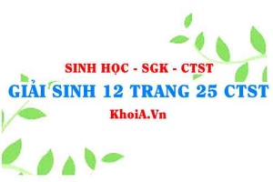 Giải Sinh 12 trang 25 Chân trời Sáng tạo